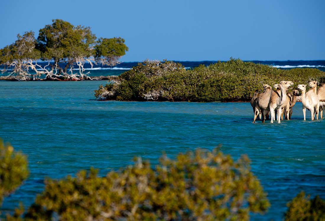 Marsa Alam