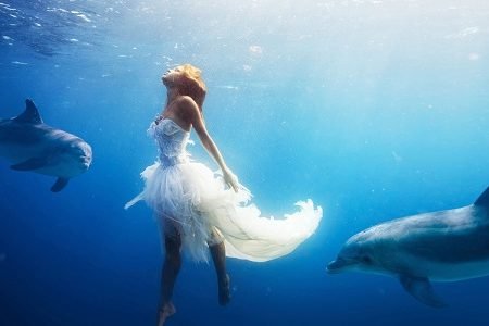 Dolphin House Hurghada