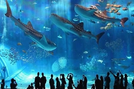 Grand Aquarium Hurghada