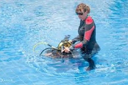 Hurghada Open Water Course