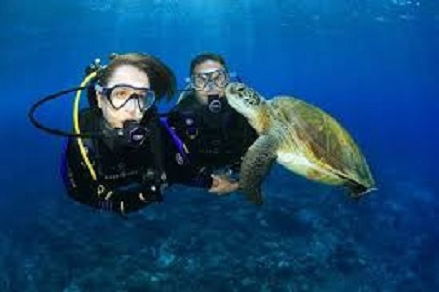 Hurghada Daily Dive